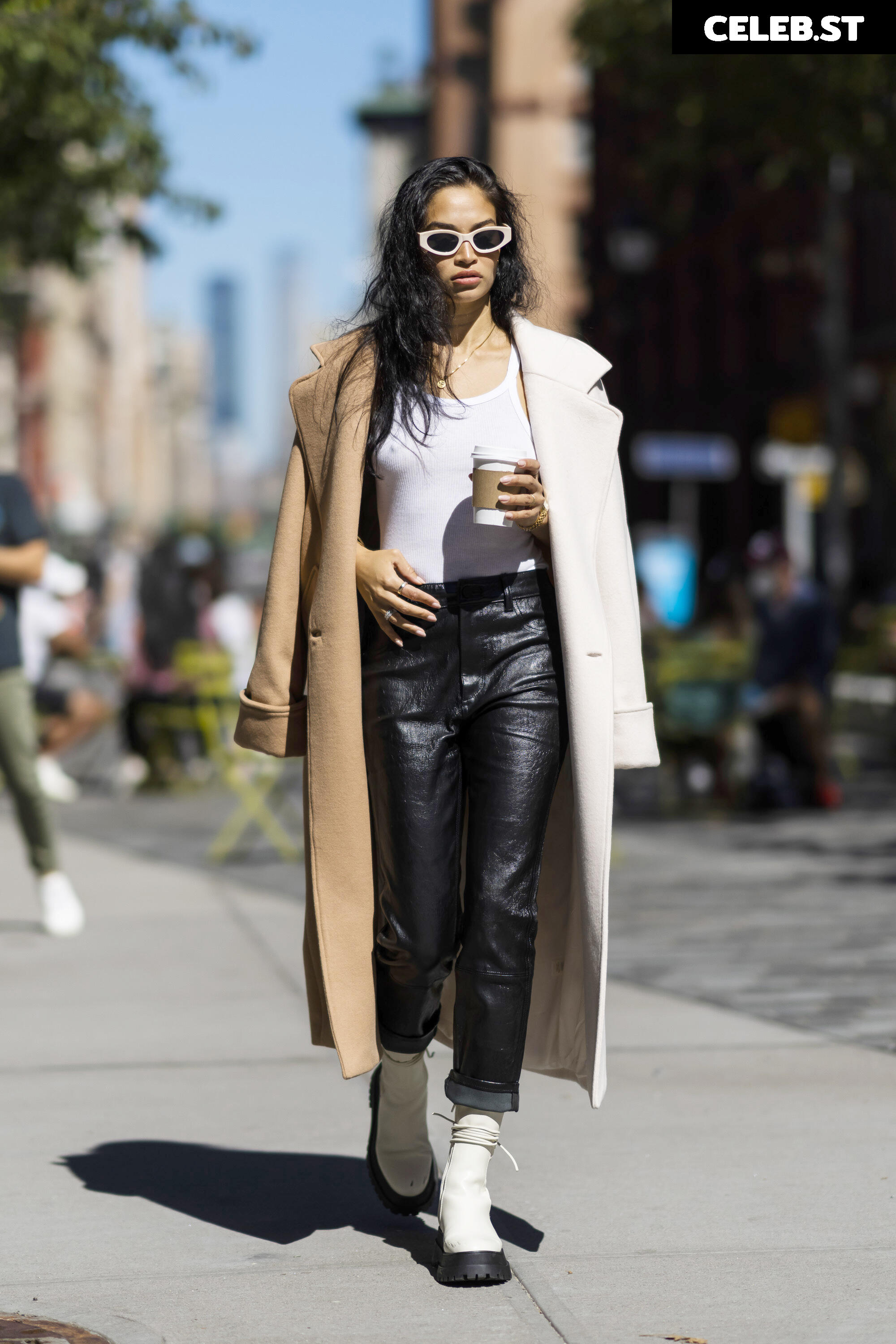 Shanina Shaik Image 2080685
