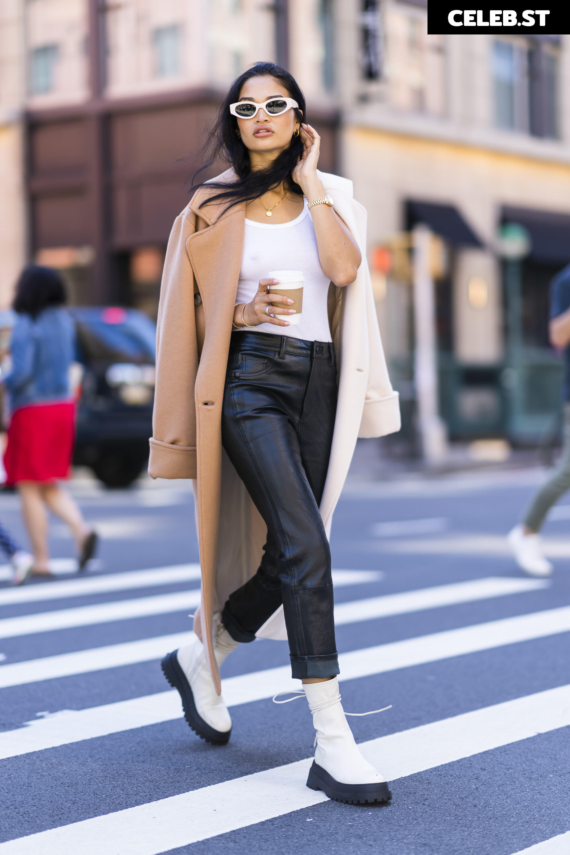 Shanina Shaik Image 2080614