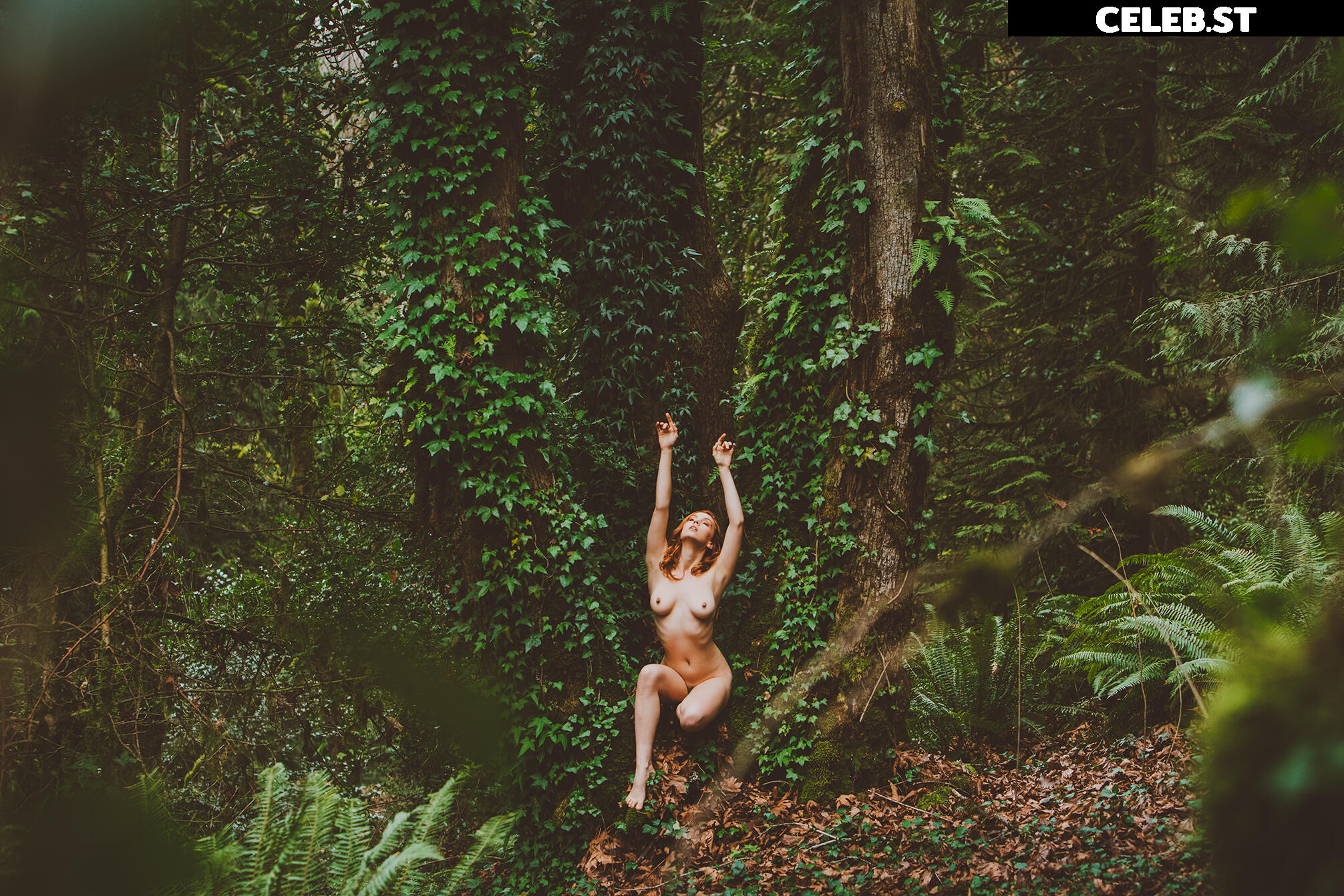 Kayla Coyote Image 20801150
