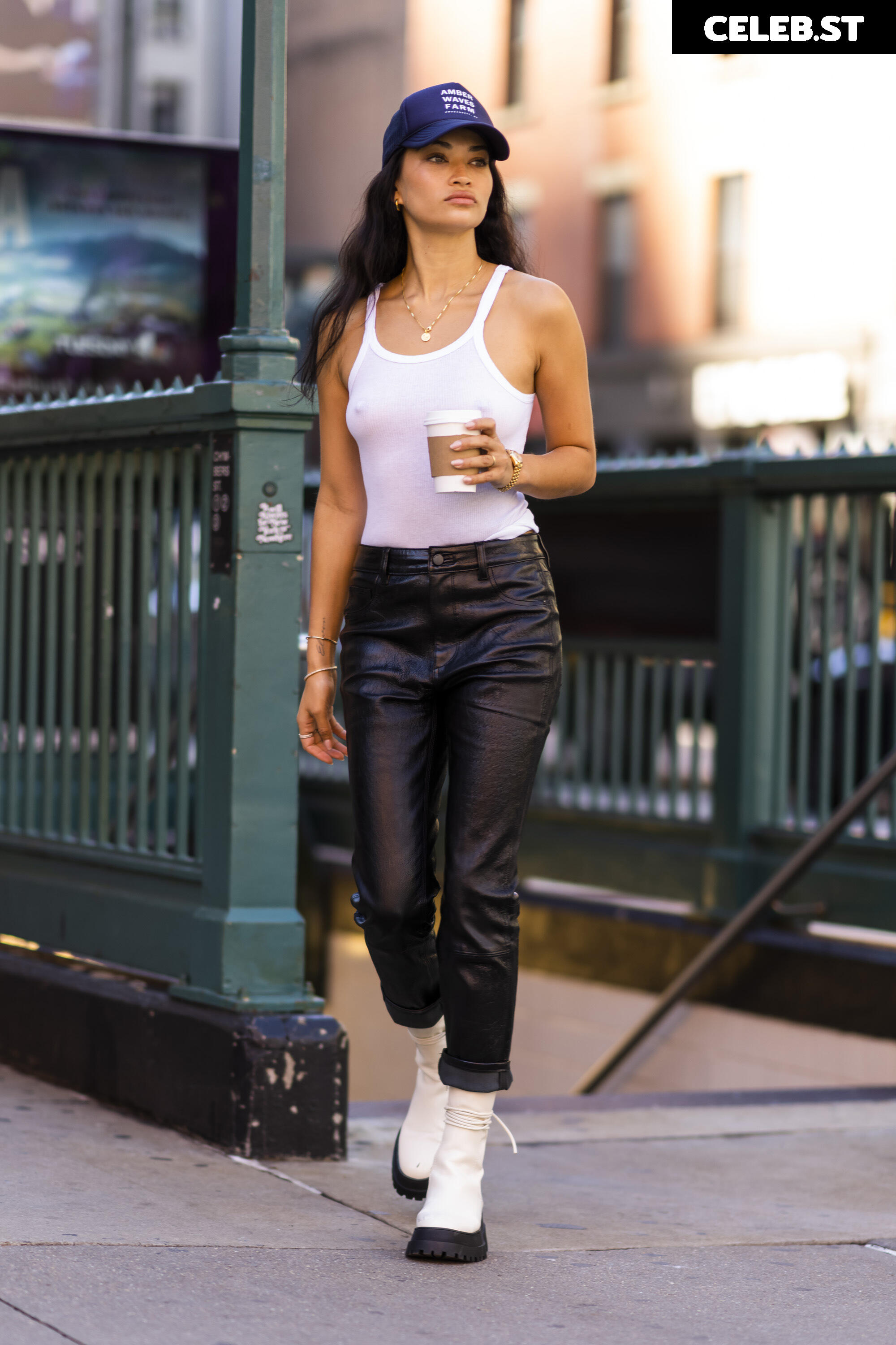 Shanina Shaik Image 2080381