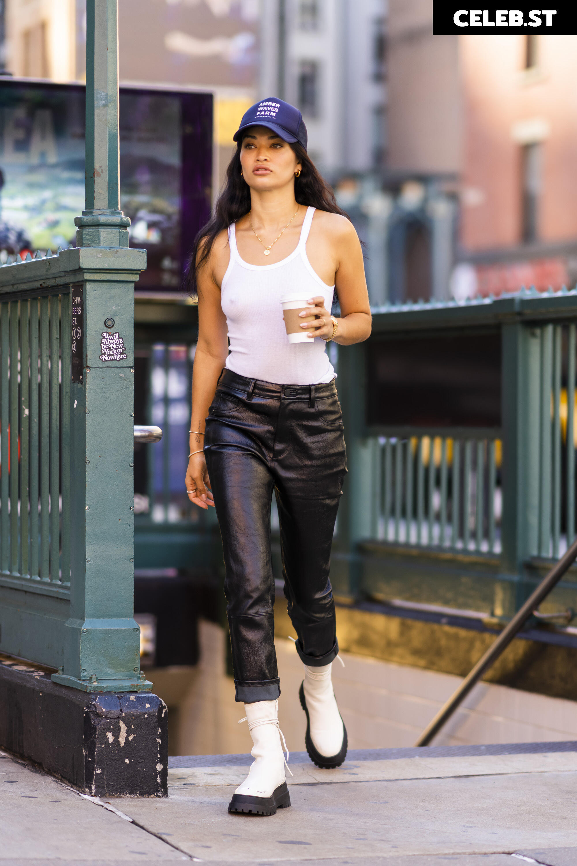 Shanina Shaik Image 2080306