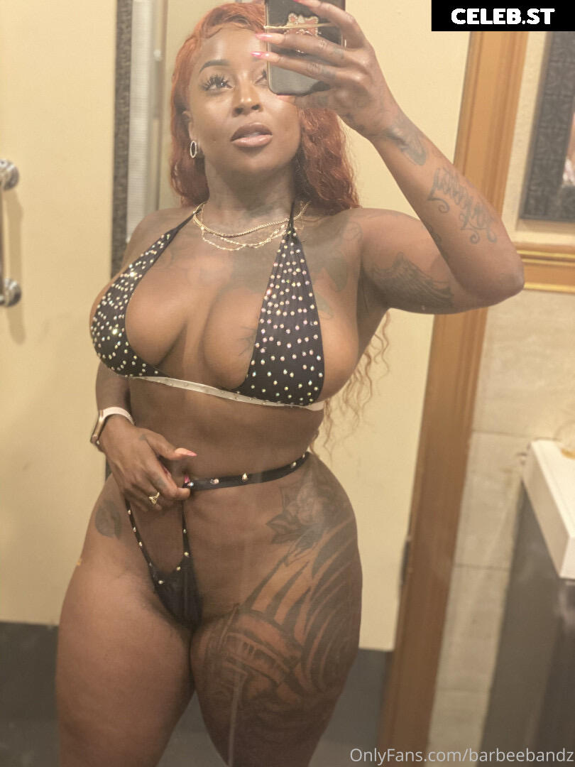 Barbee Bandz Image 20897265