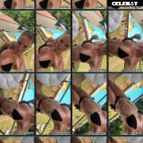 Aurbeaureal Image 20797567