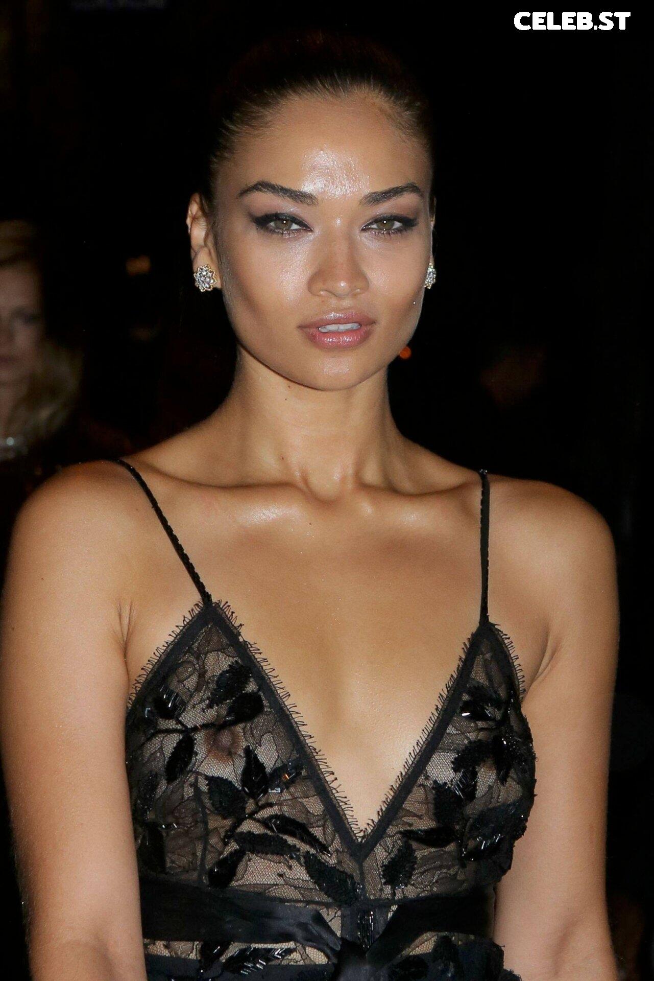 Shanina Shaik Image 2078219