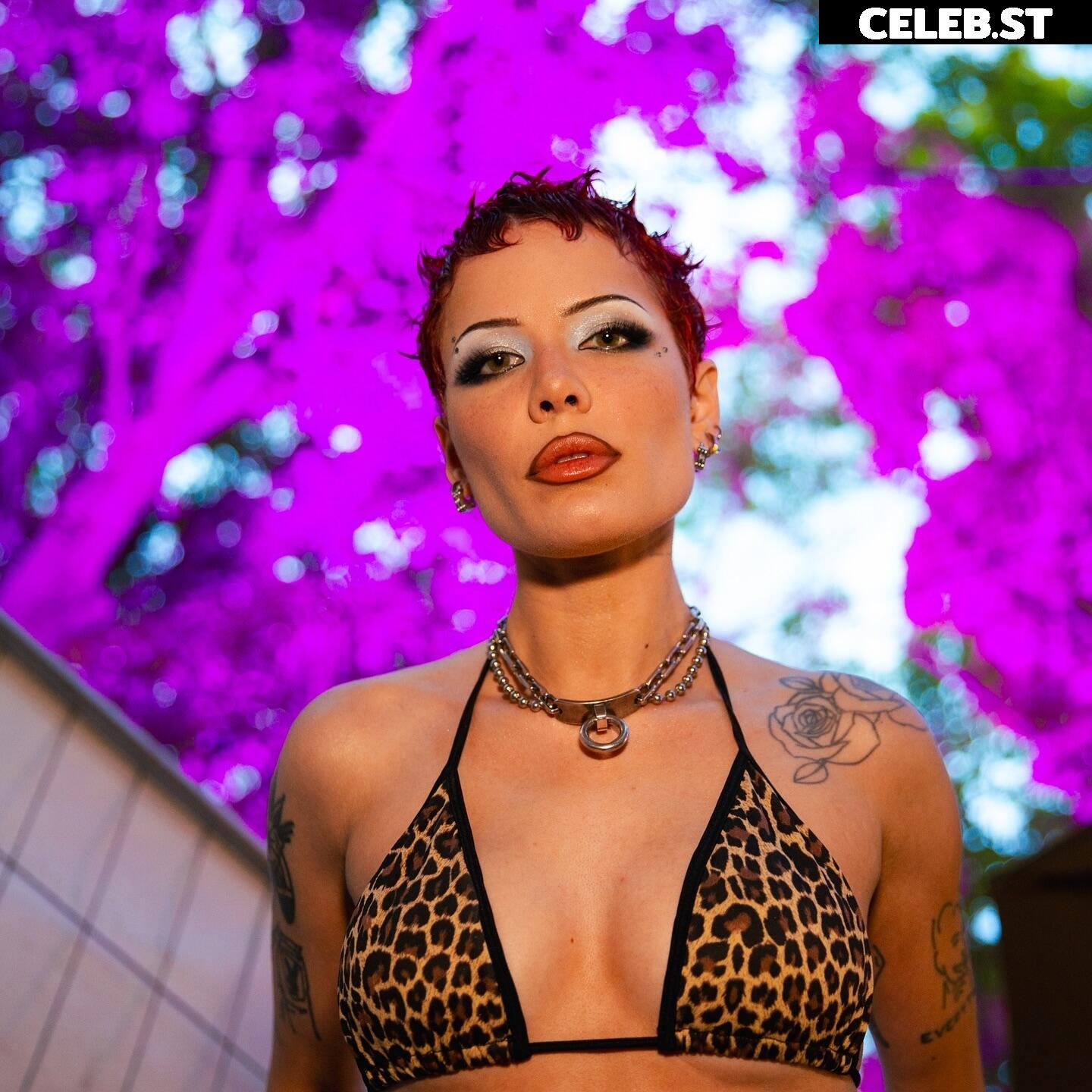 Halsey Image 2065647
