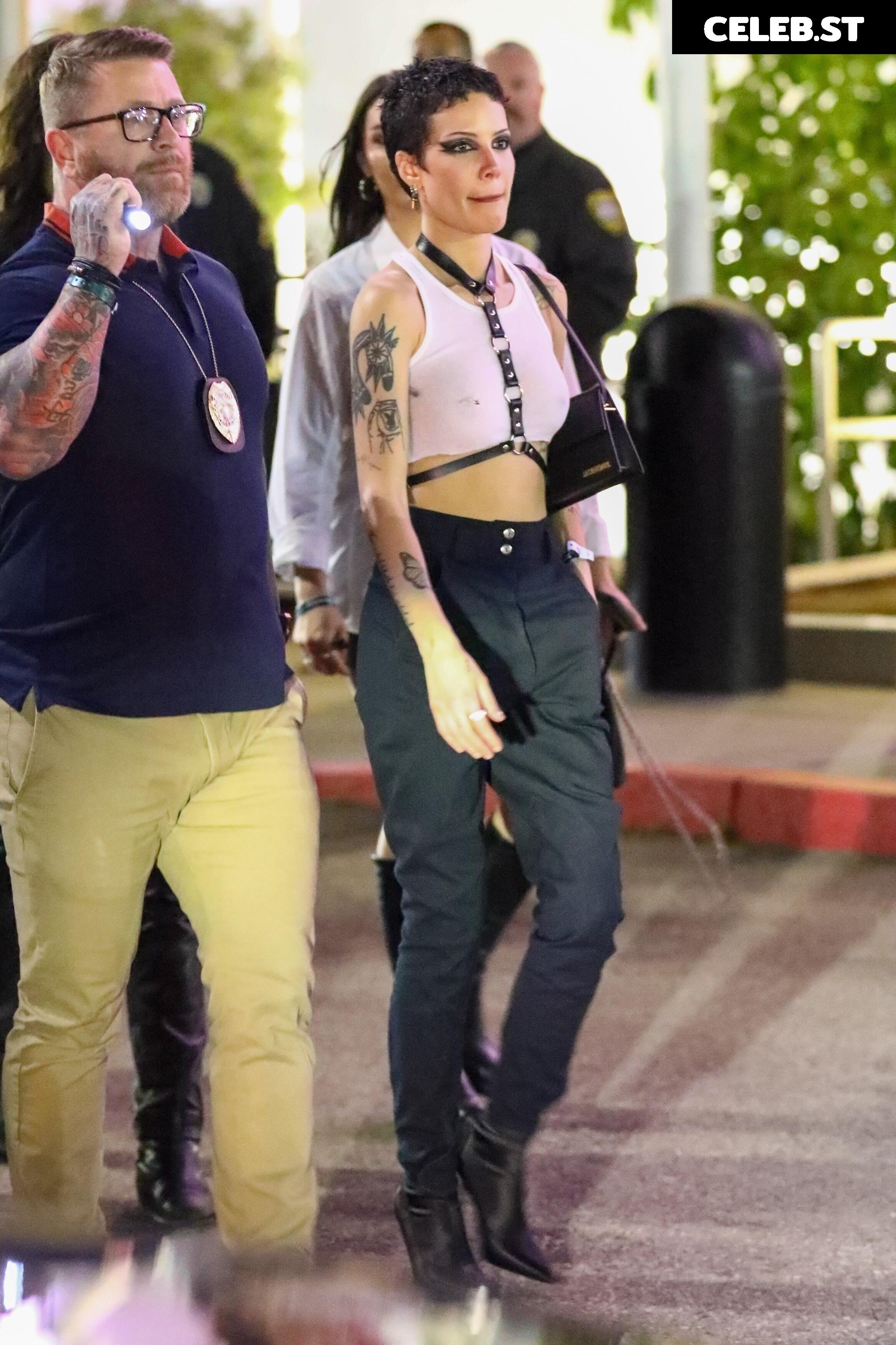 Halsey Image 2065038
