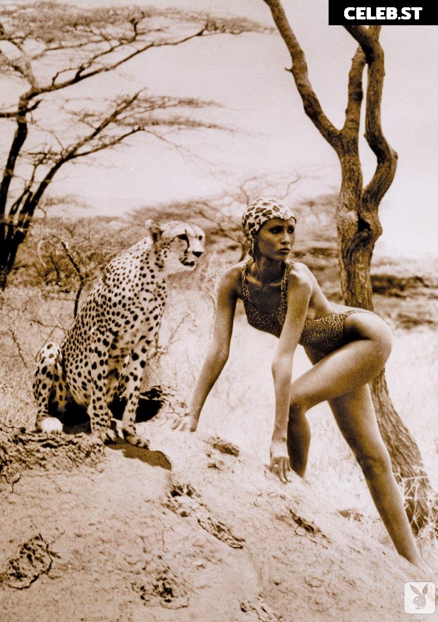 Iman Abdulmajid Image 2065958