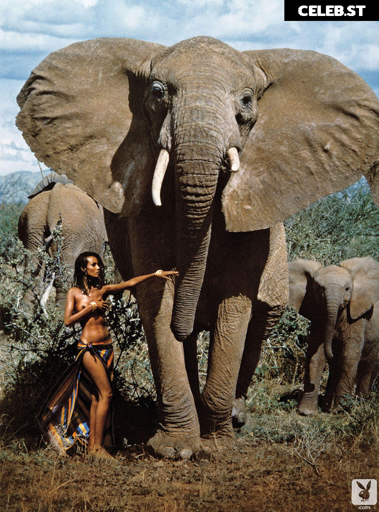 Iman Abdulmajid Image 2066072