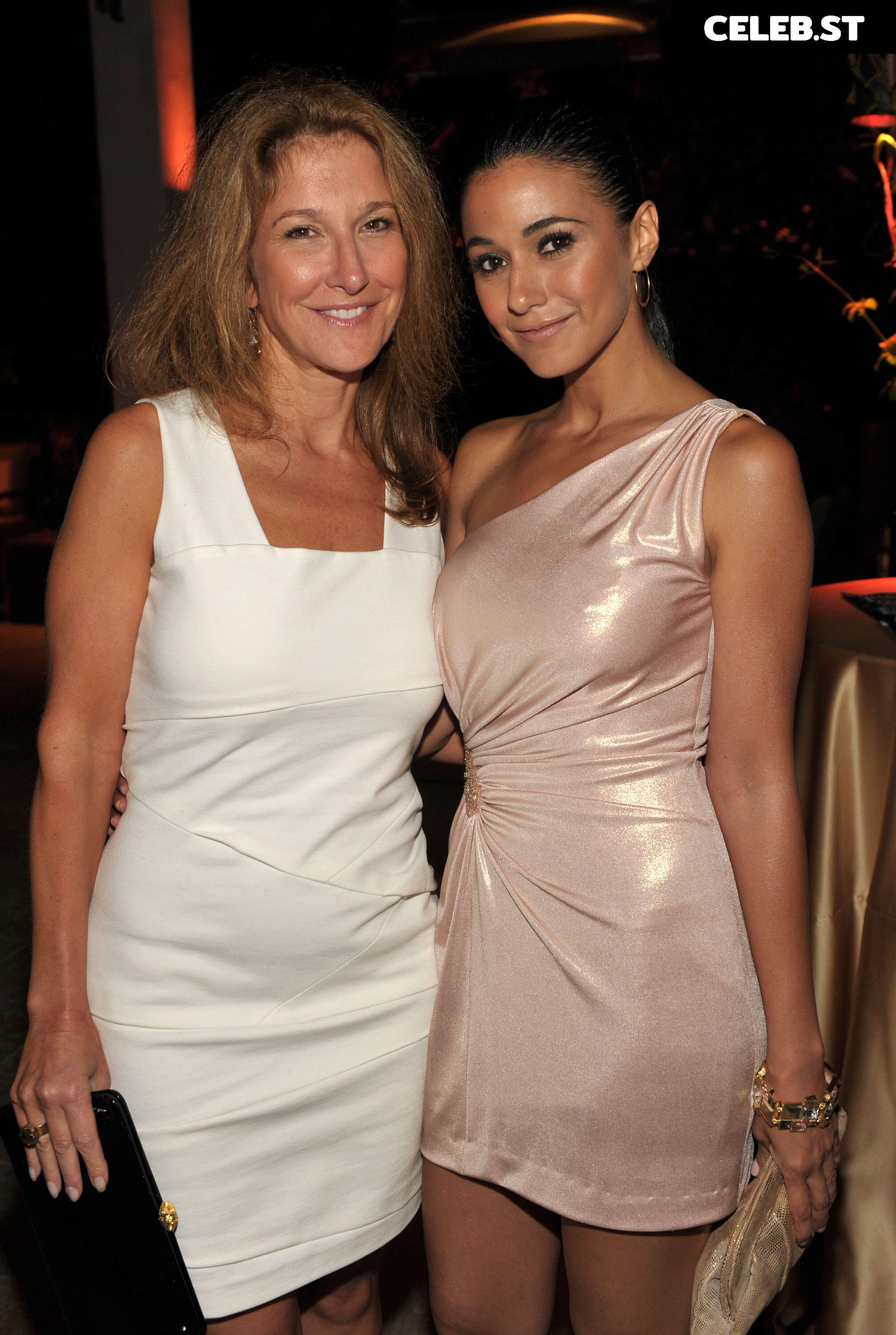 Emmanuelle Chriqui Image 2067409