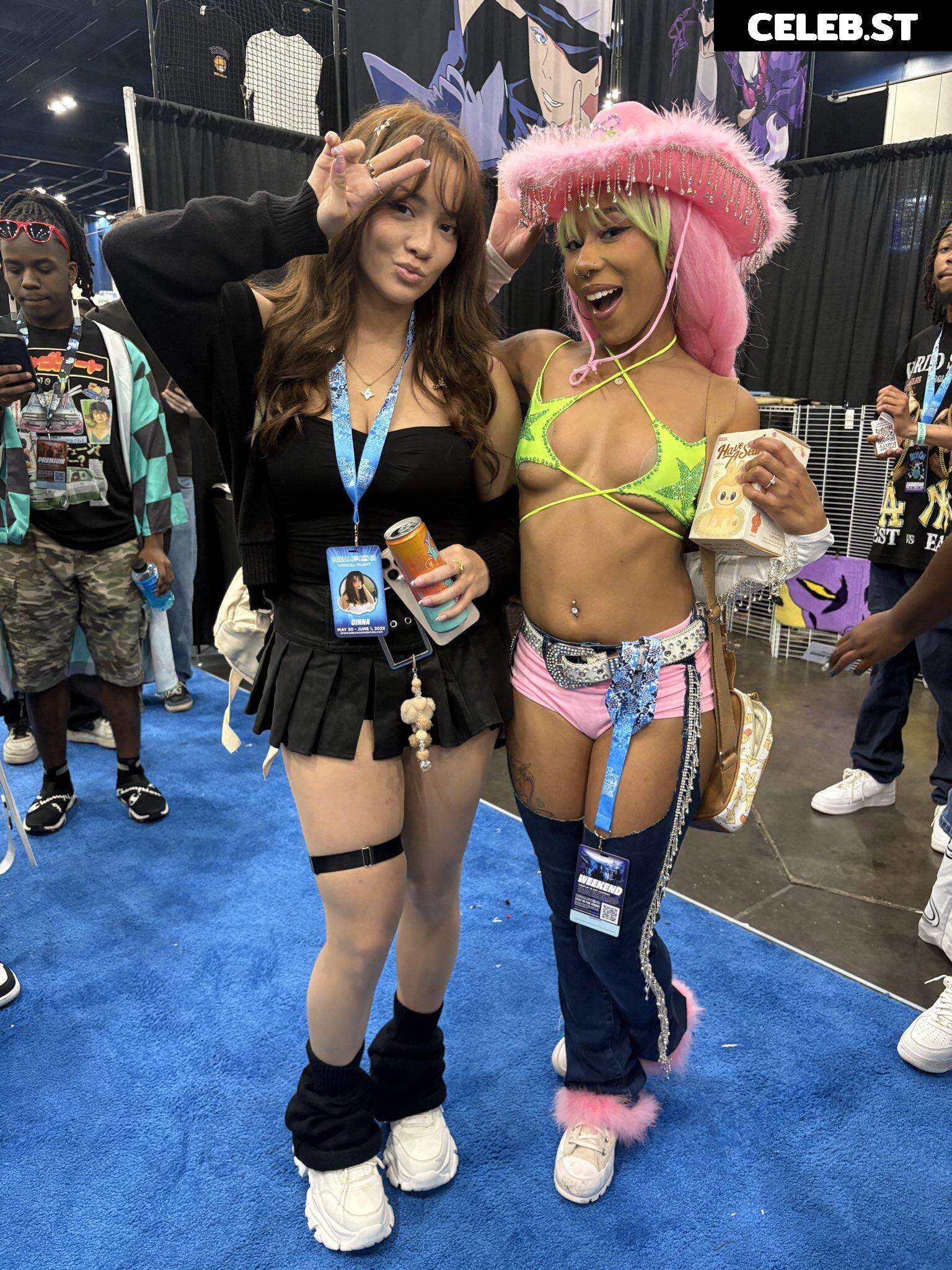 Cinnabrit Image 20677062