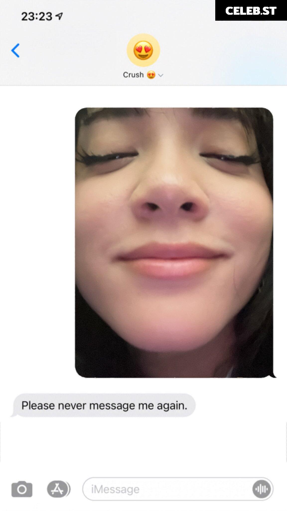 Cinnabrit Image 20679101