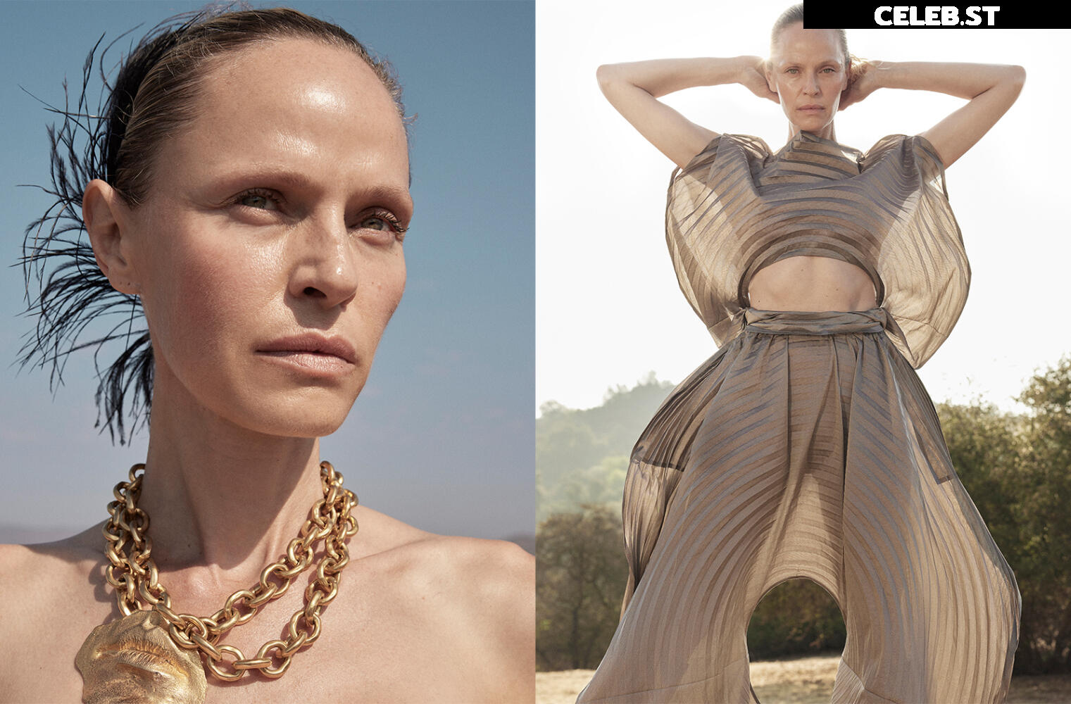 Rachel Roberts Image 2062598