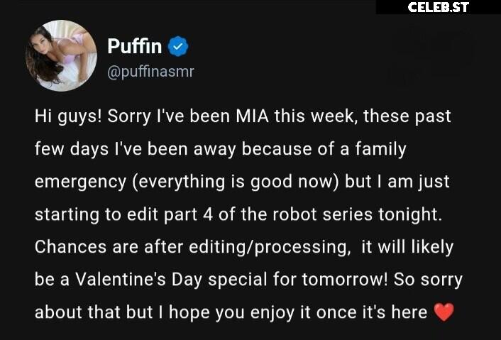 ASMR Puffin Image 20625598