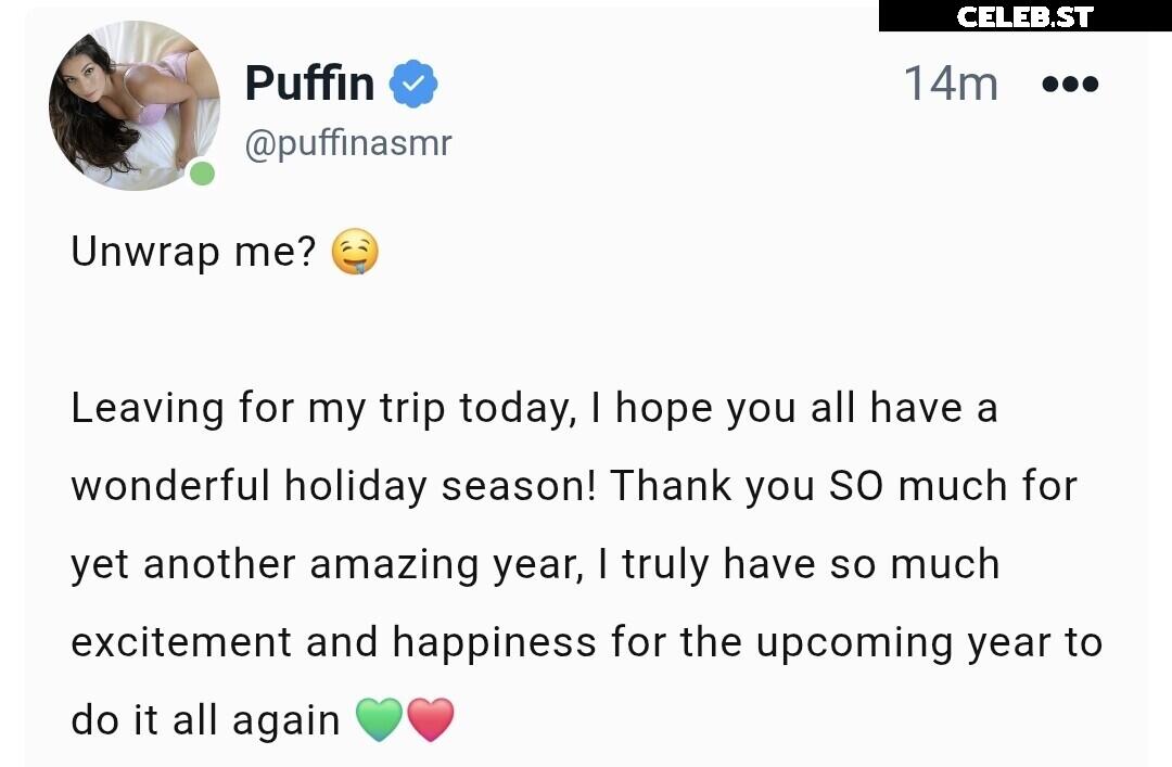 ASMR Puffin Image 20625025