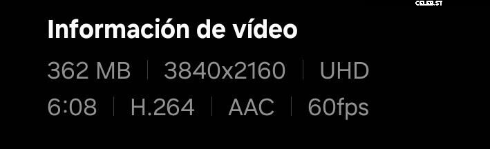 ASMR Puffin Image 20625005