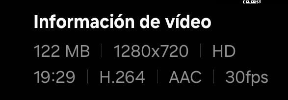 ASMR Puffin Image 20625064