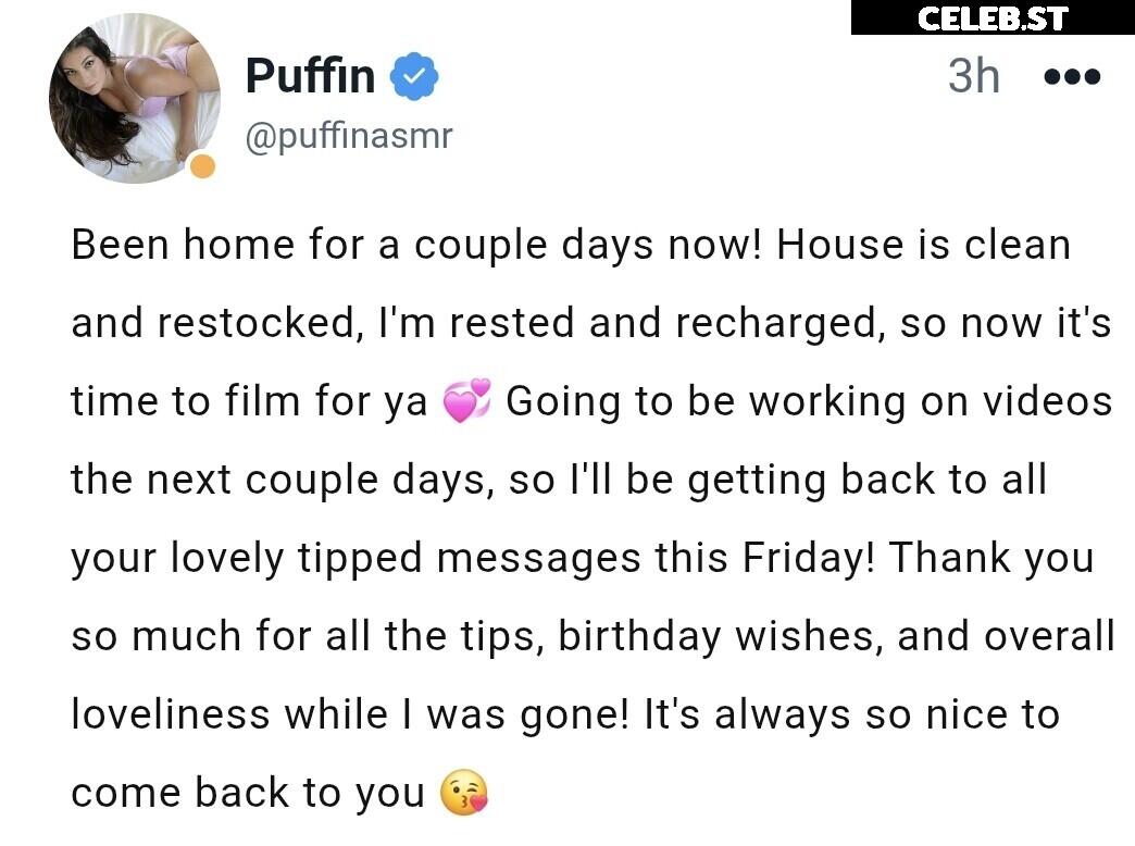 ASMR Puffin Image 20625058