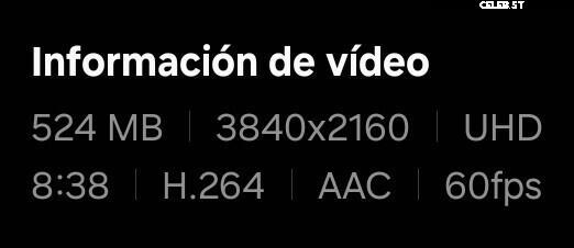 ASMR Puffin Image 20624969