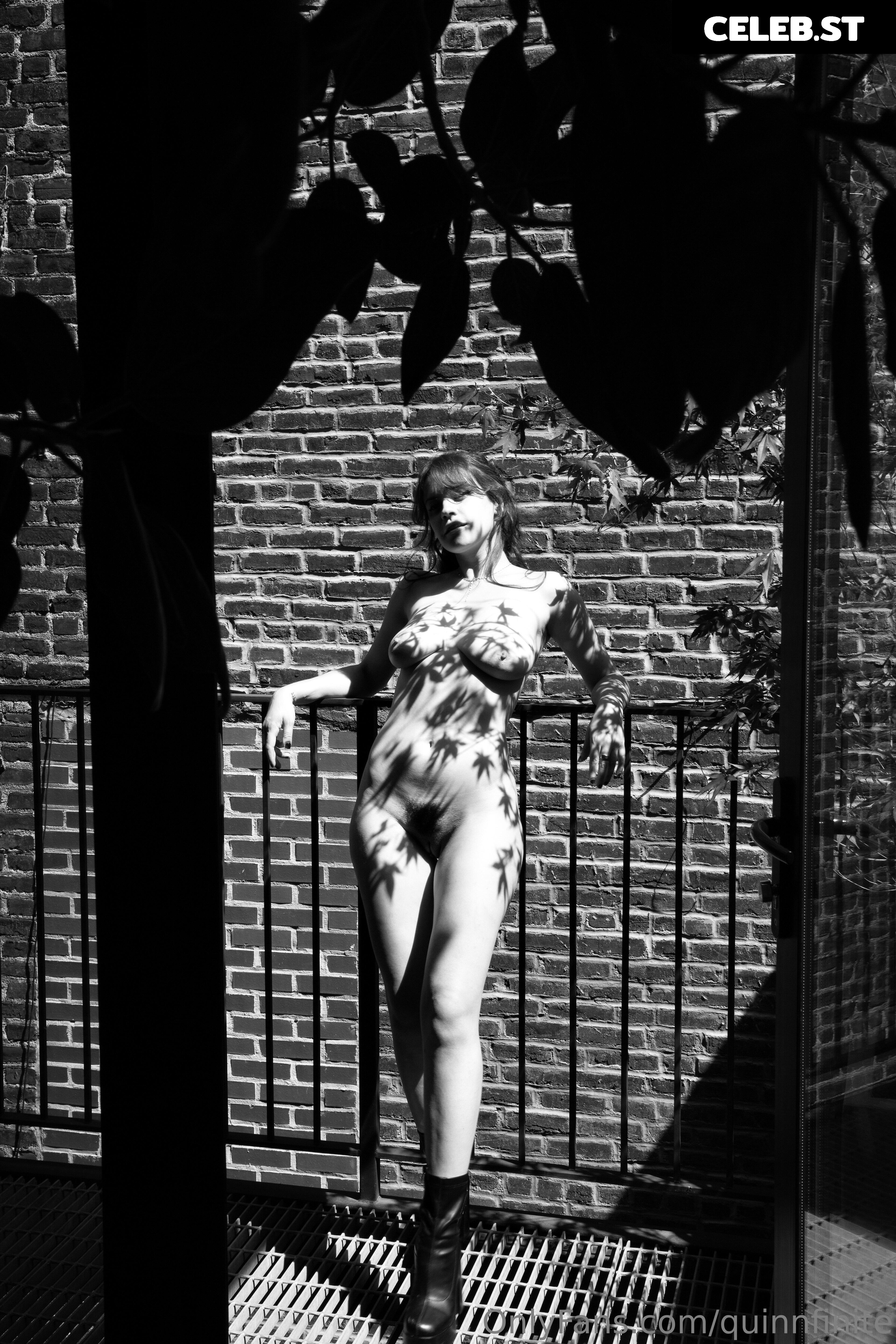 Quinn Finite / Charlee Image 20637514