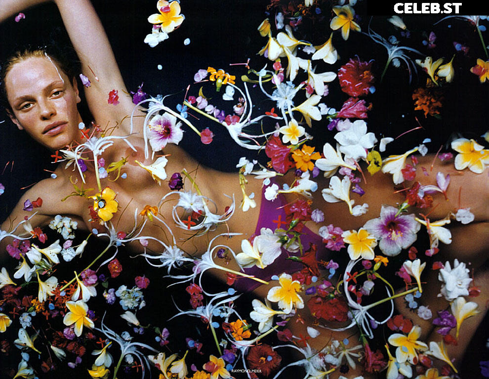 Rachel Roberts Image 2063018