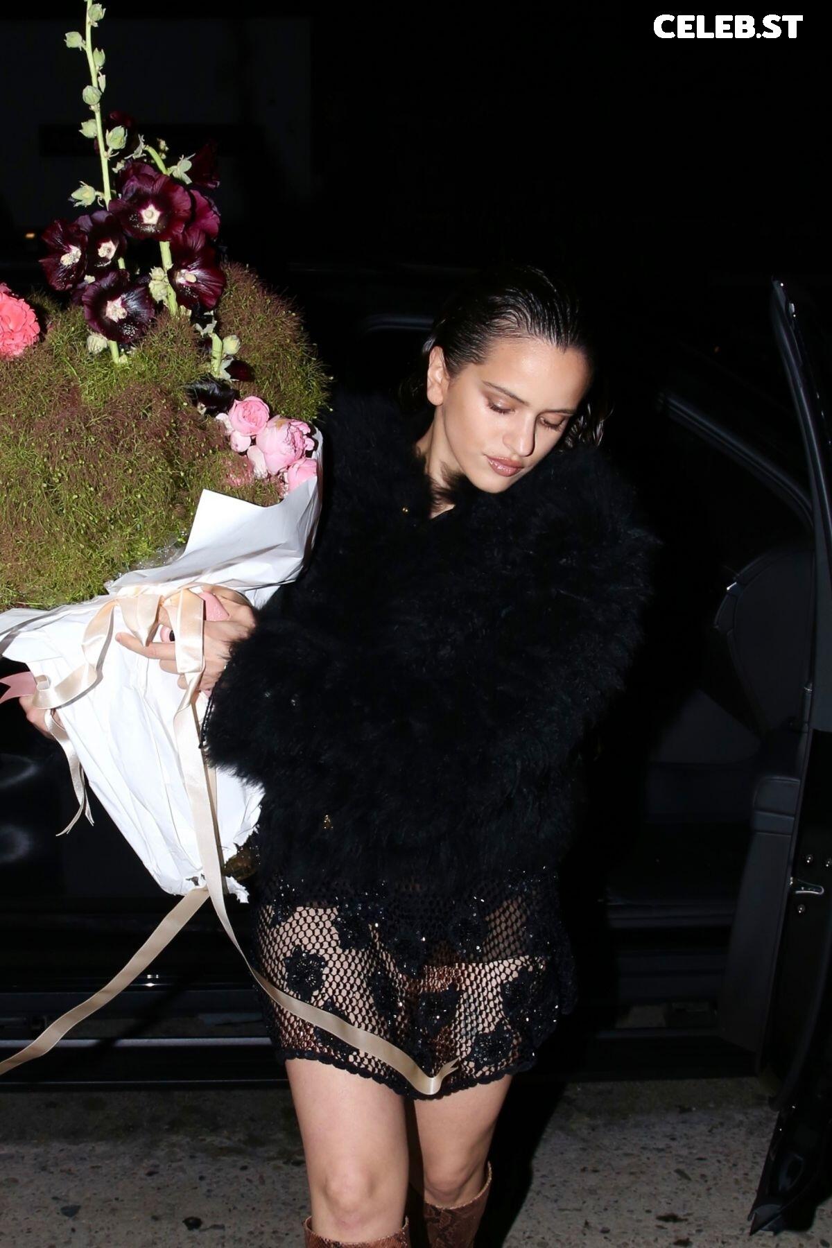 Rosalia Image 2063270