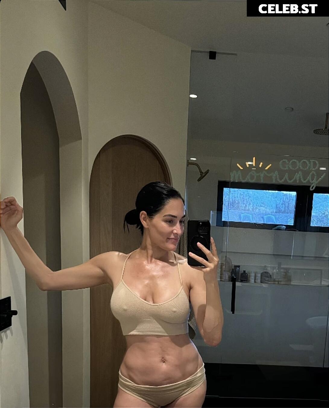 Nikki Bella Image 2068828