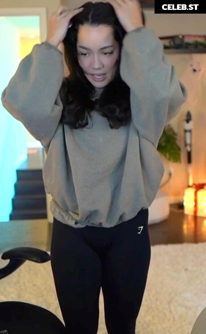 Cinnabrit Image 20680615