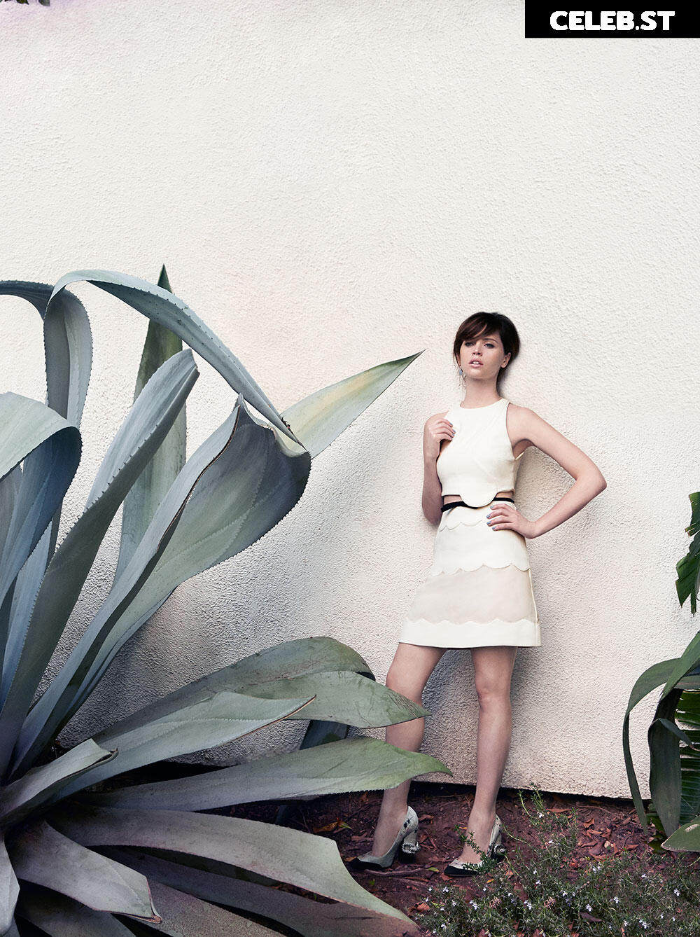 Felicity Jones Image 20523192