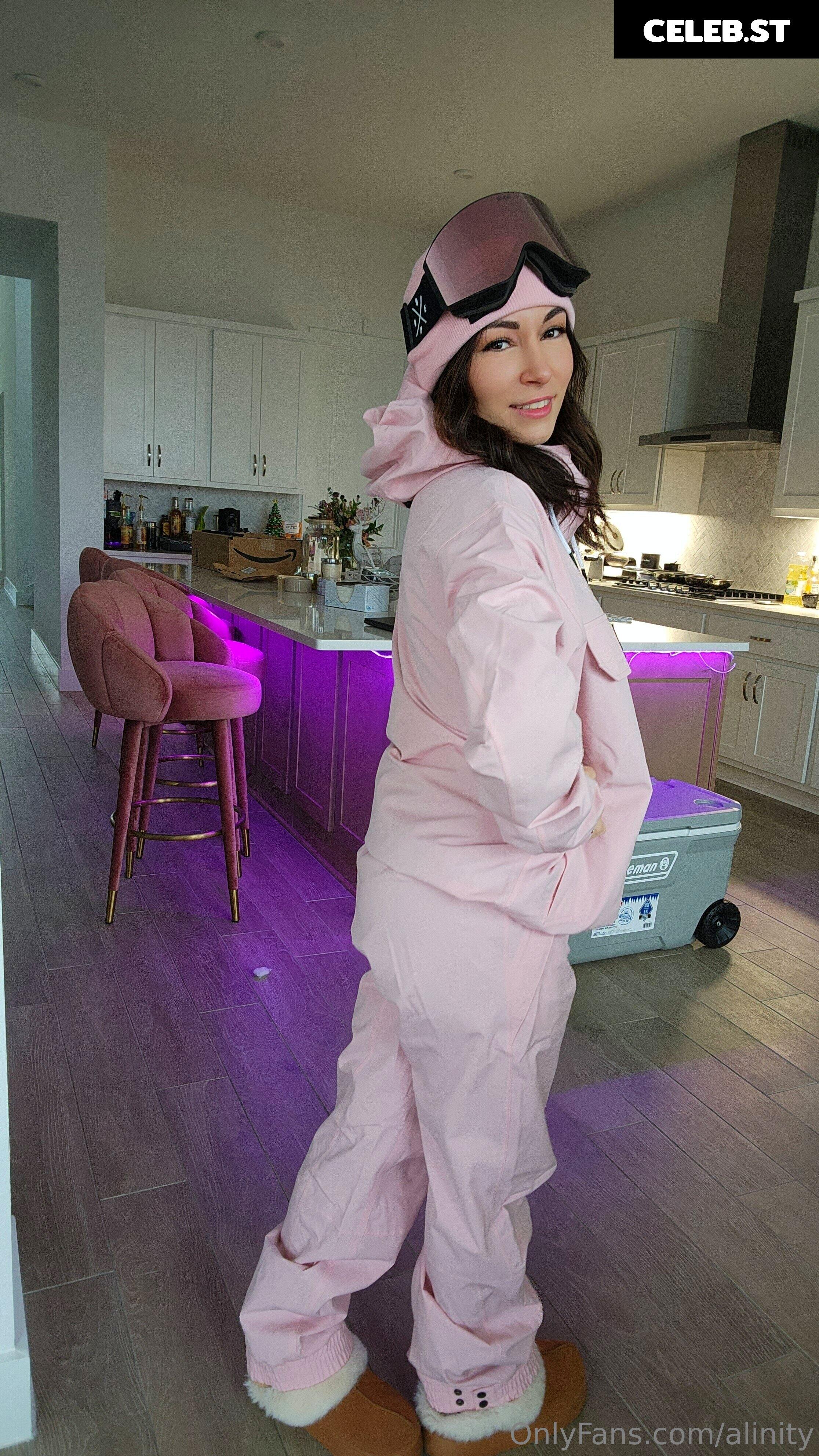 Alinity Image 20471987