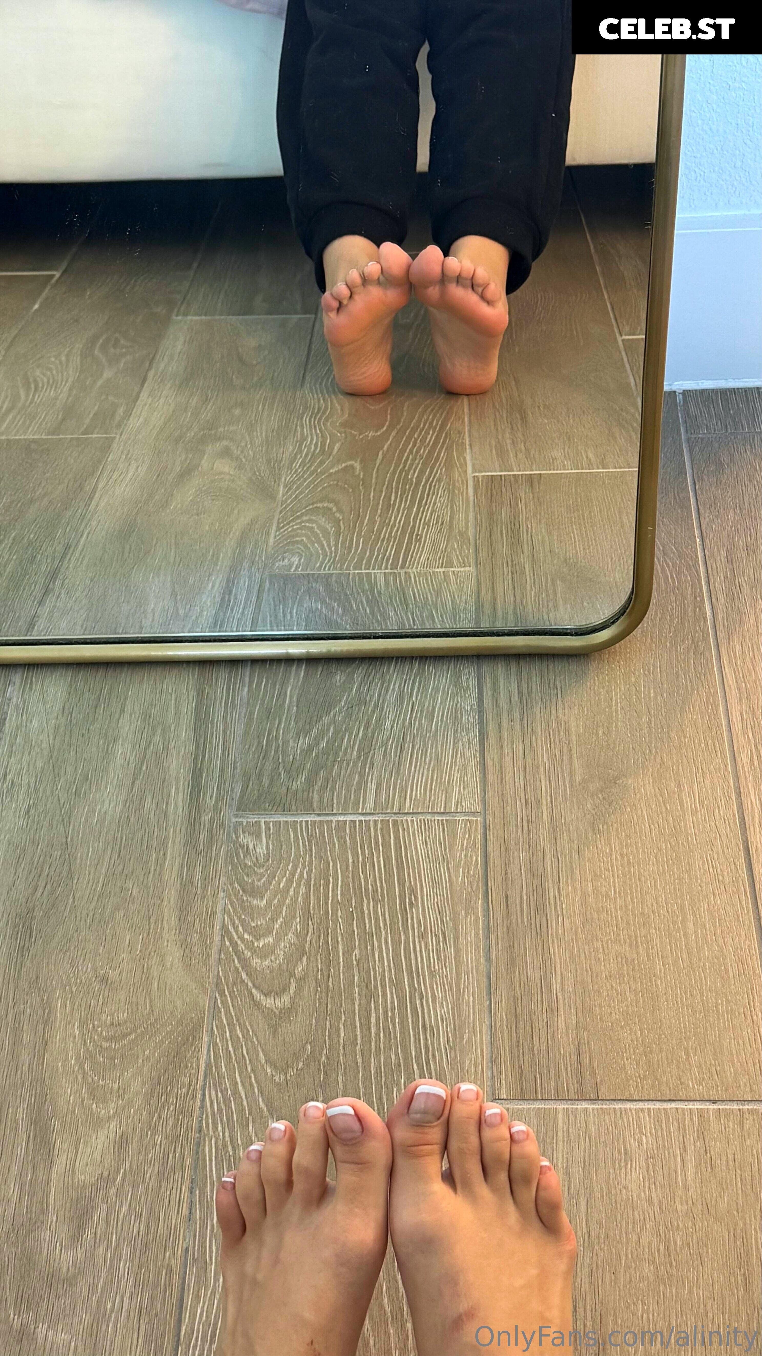 Alinity Image 20473919