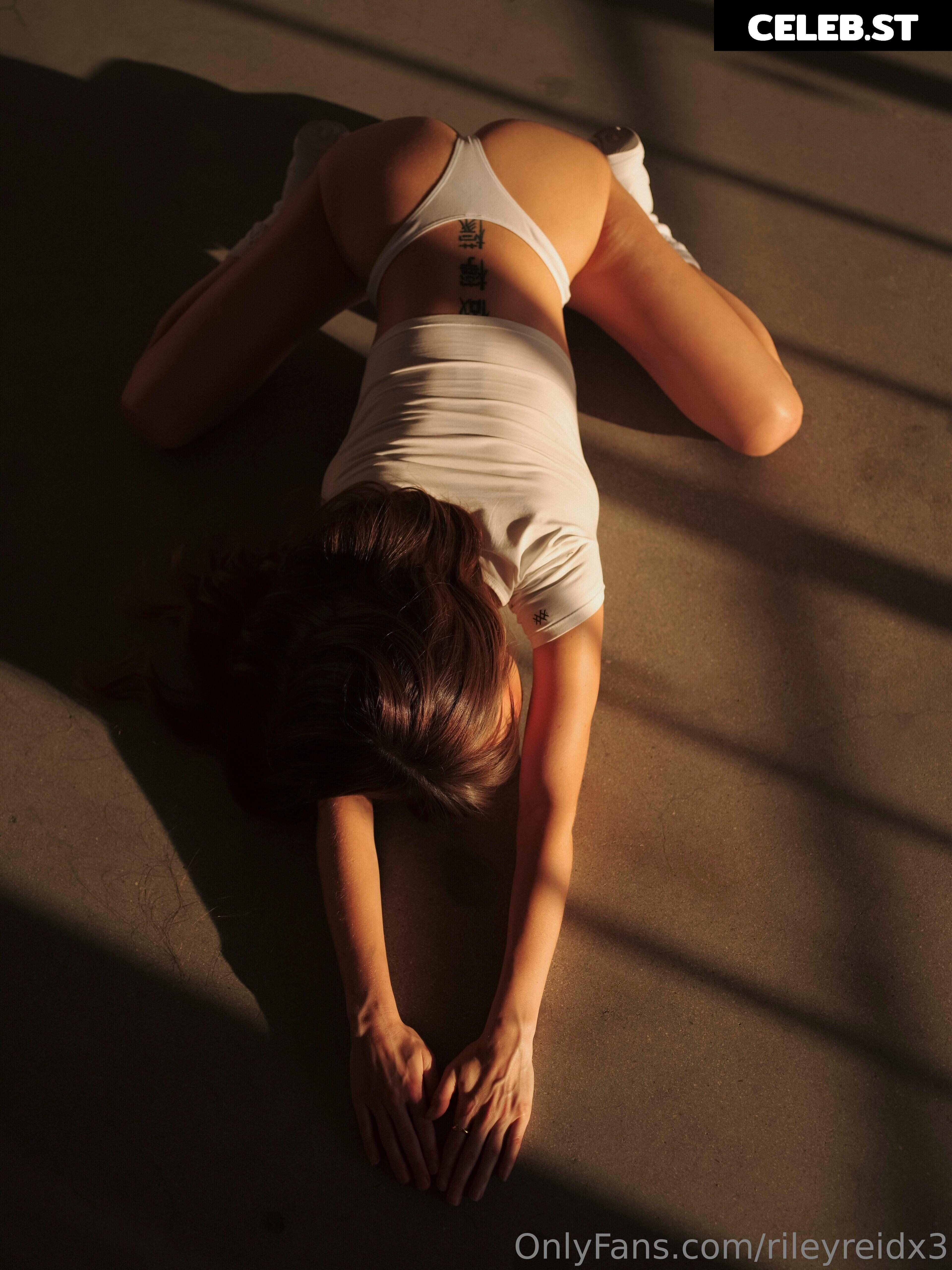 Riley Reid Image 2047359