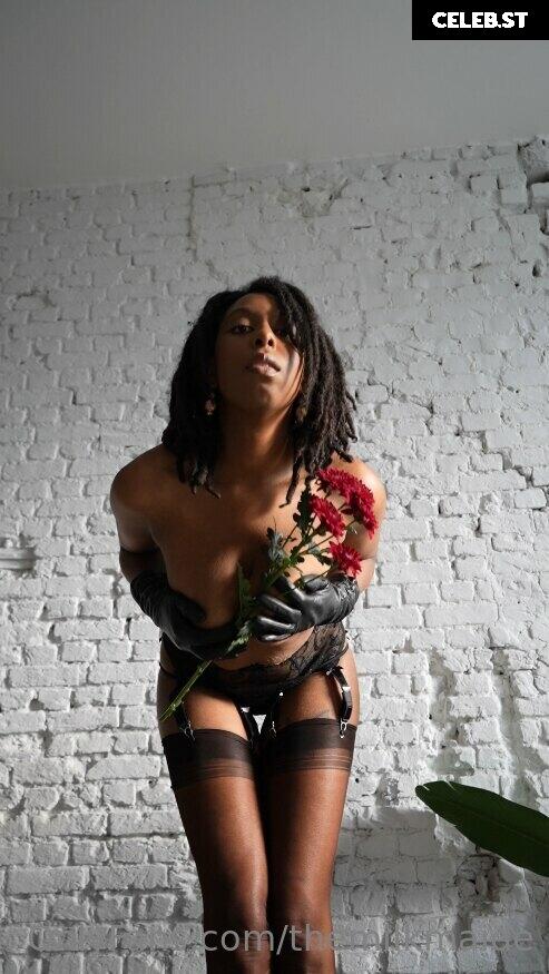 TheMilkMaide Image 204044