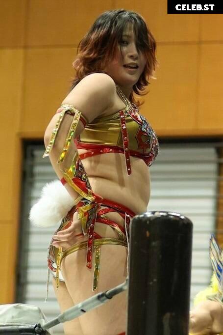 Women of Joshi Puroresu Image 20375112