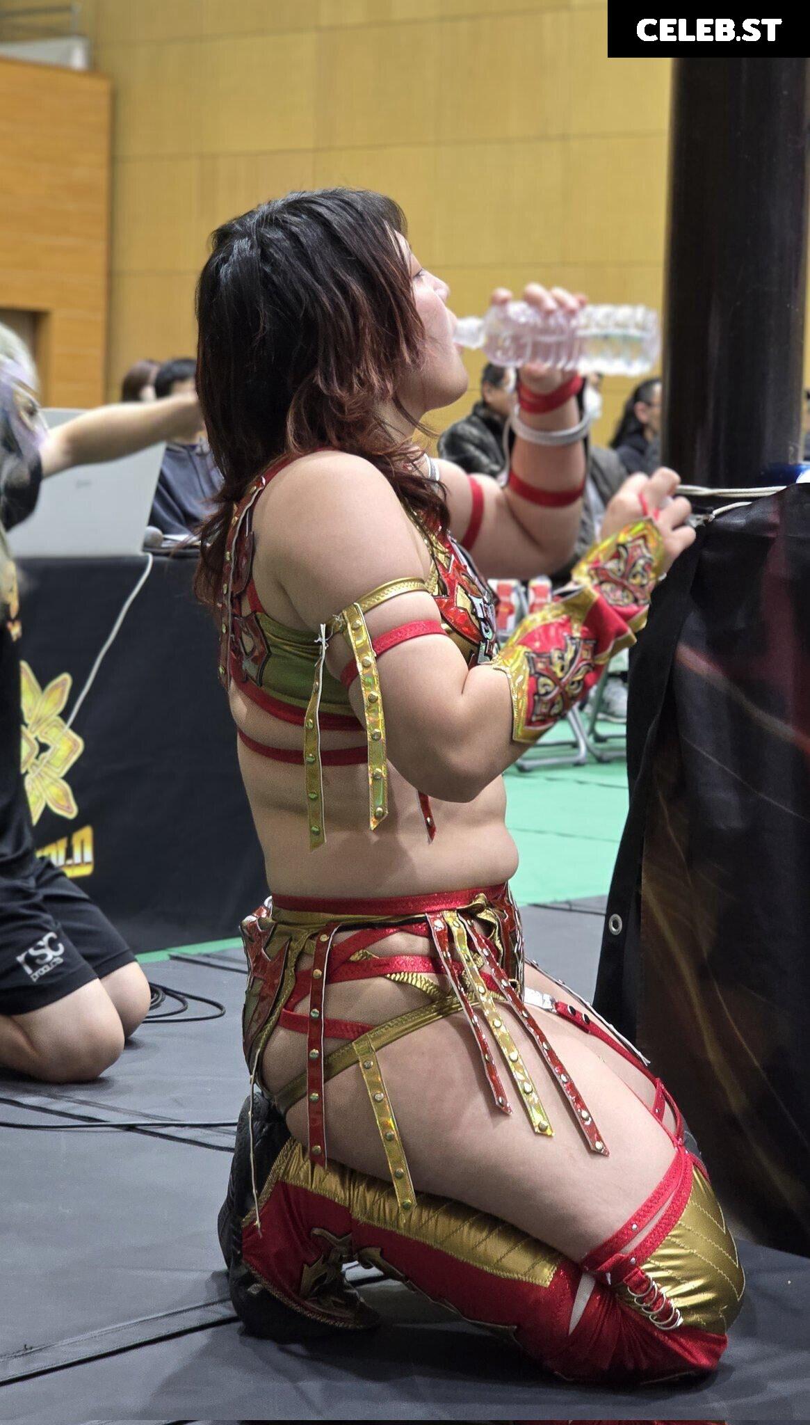 Women of Joshi Puroresu Image 20375168