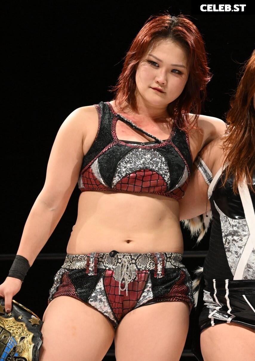 Women of Joshi Puroresu Image 20375097