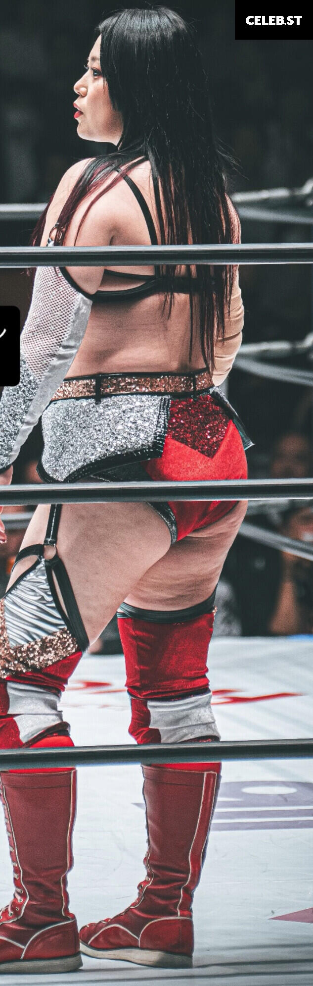 Women of Joshi Puroresu Image 20375082