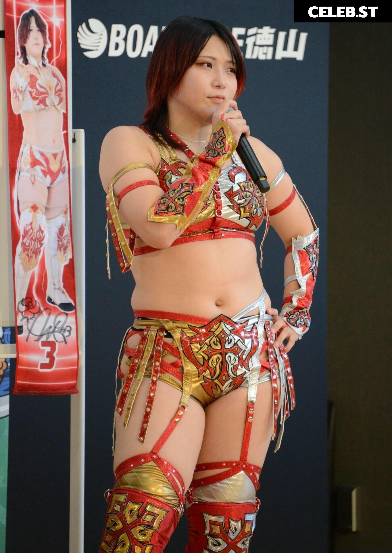 Women of Joshi Puroresu Image 20375069