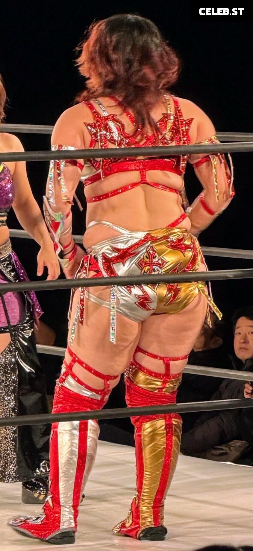 Women of Joshi Puroresu Image 20375070