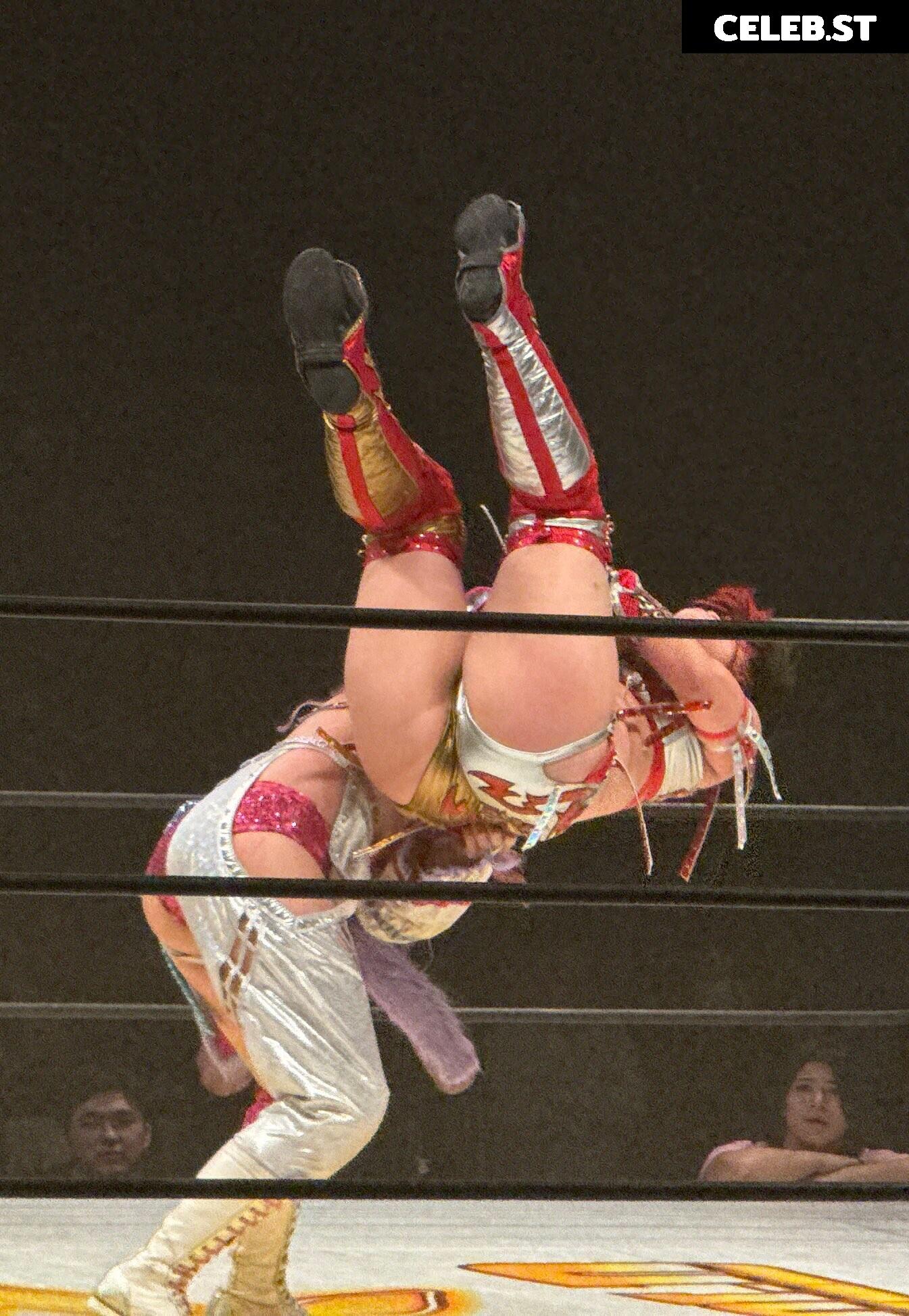 Women of Joshi Puroresu Image 20375205