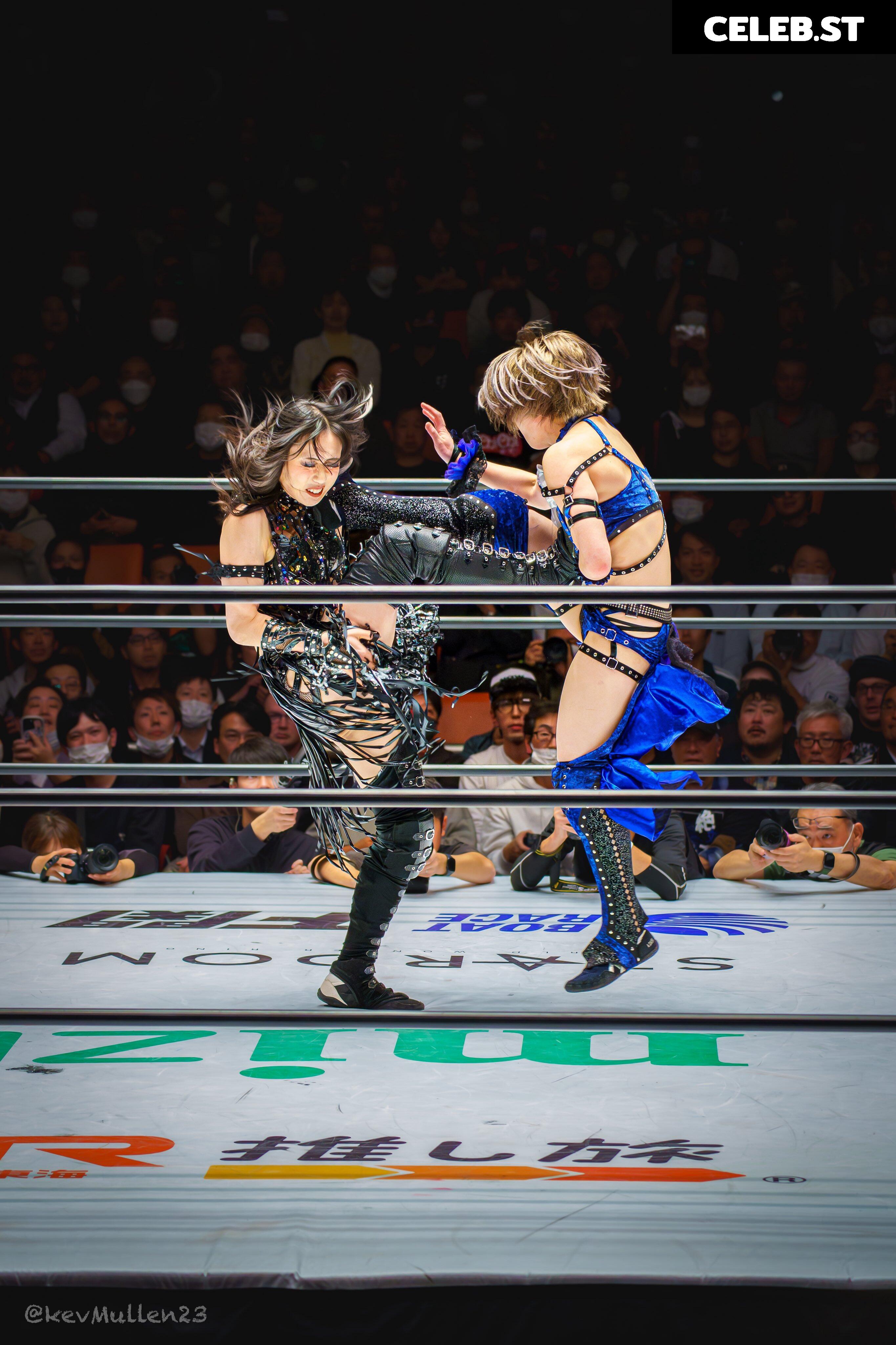 Women of Joshi Puroresu Image 20374952