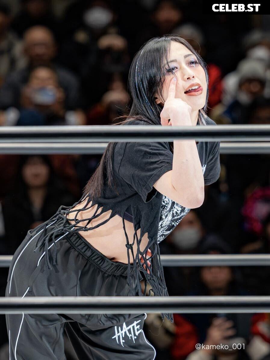 Women of Joshi Puroresu Image 20377069
