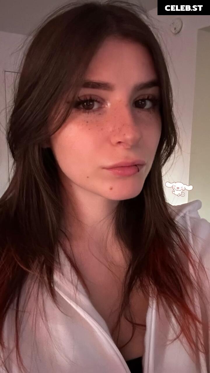 Zasterini | Zastela Image 20327843