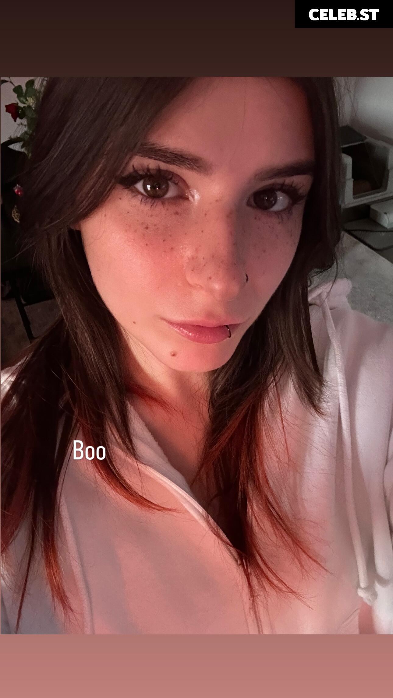 Zasterini | Zastela Image 20327847