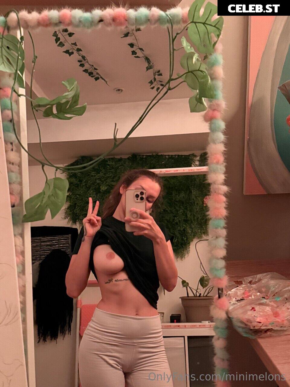 Sasha Kalashnikov / sashaforfvcksake / Boob Ross / Minimelons Image 20252726