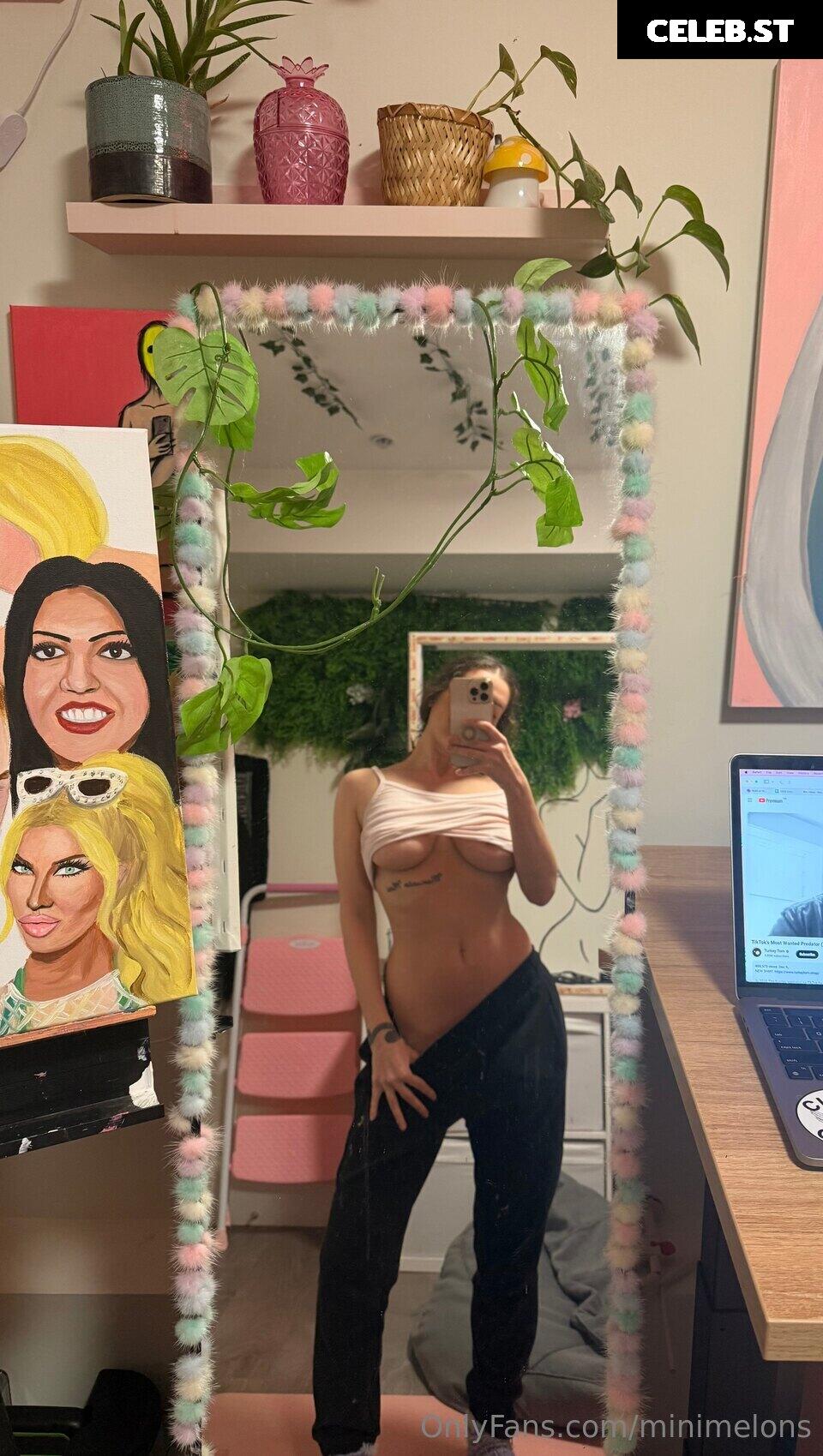 Sasha Kalashnikov / sashaforfvcksake / Boob Ross / Minimelons Image 20252734