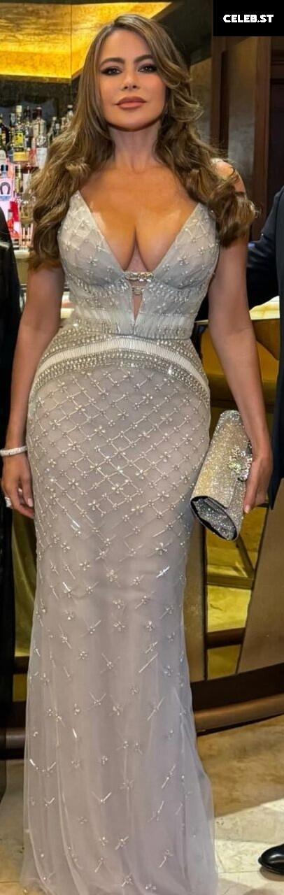 Sofia Vergara Image 2026049