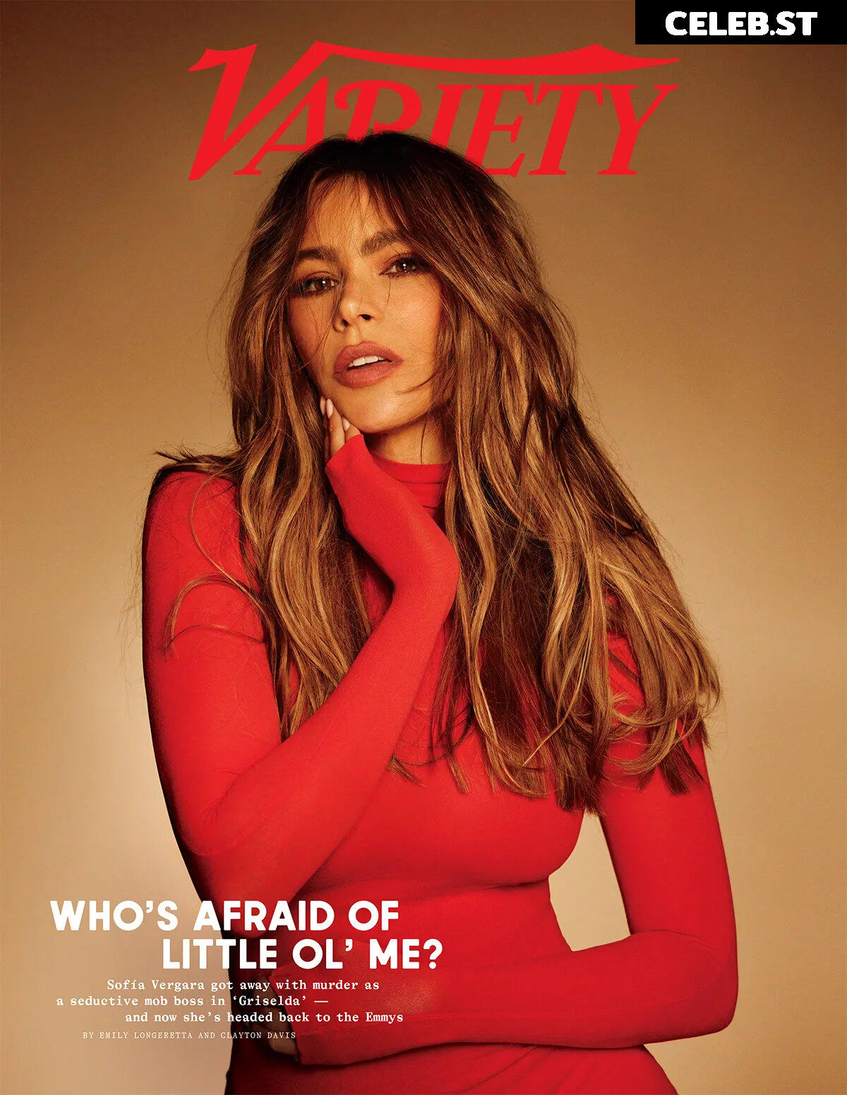 Sofia Vergara Image 2027423