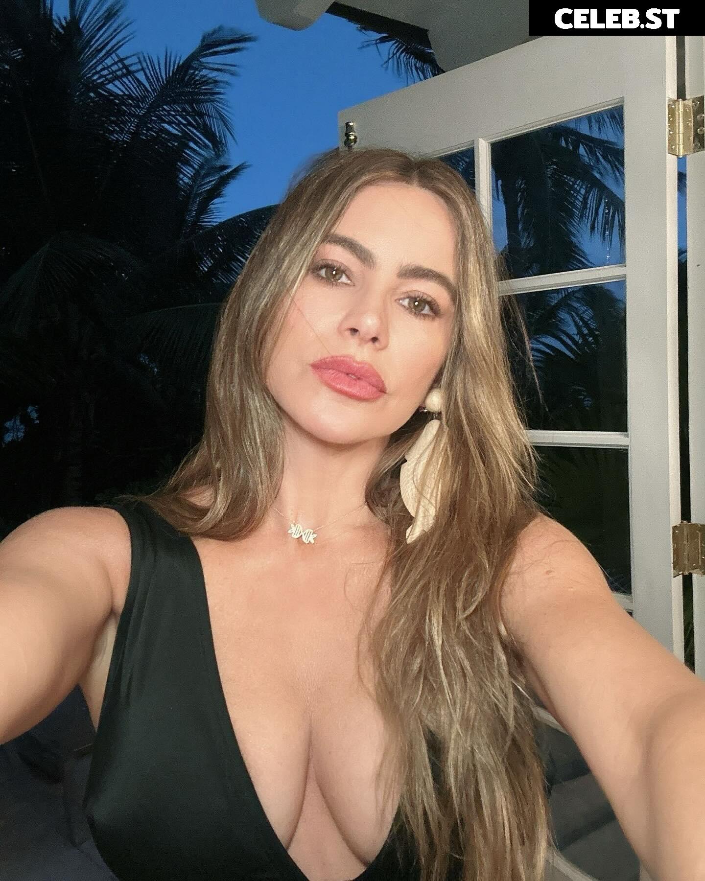 Sofia Vergara Image 2021148