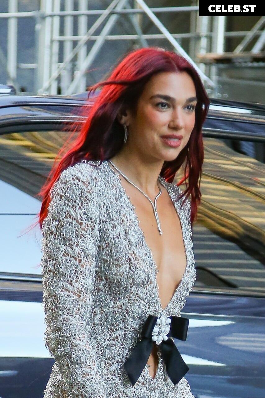 Dua Lipa Image 2021931