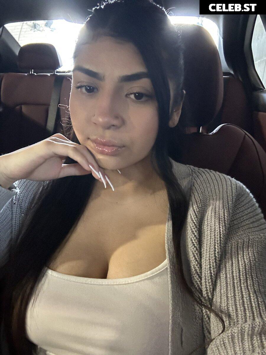 wettassliz/ lizved._.47 Image 20290220